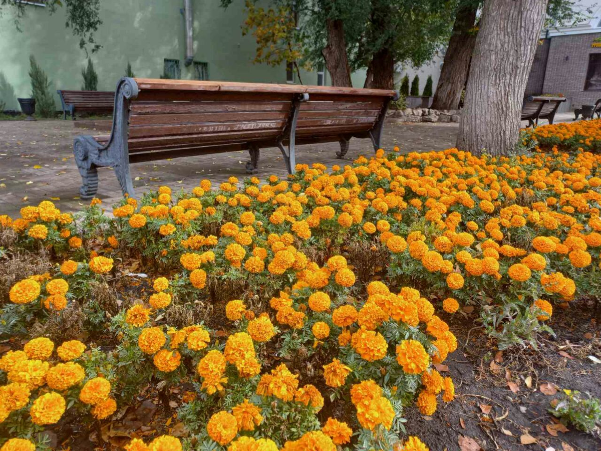 Фото автора.