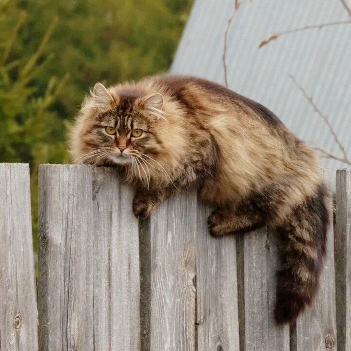 Источник: Яндекс картинки