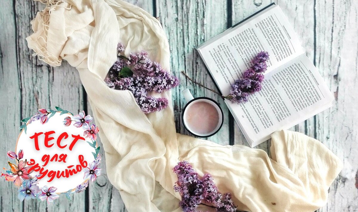 Источник изображения: pixabay.com, дизайн автора публикации