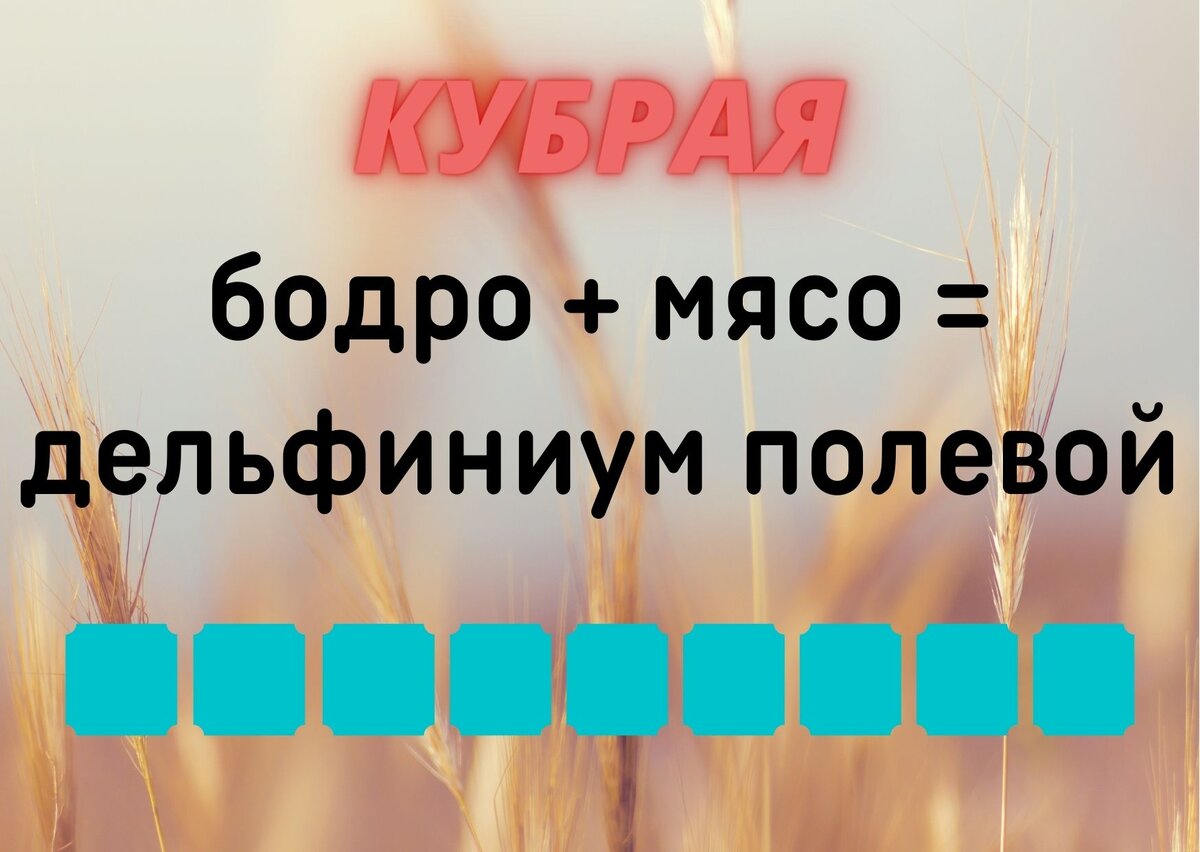 Количество клеточек равняется количеству букв в ответе.