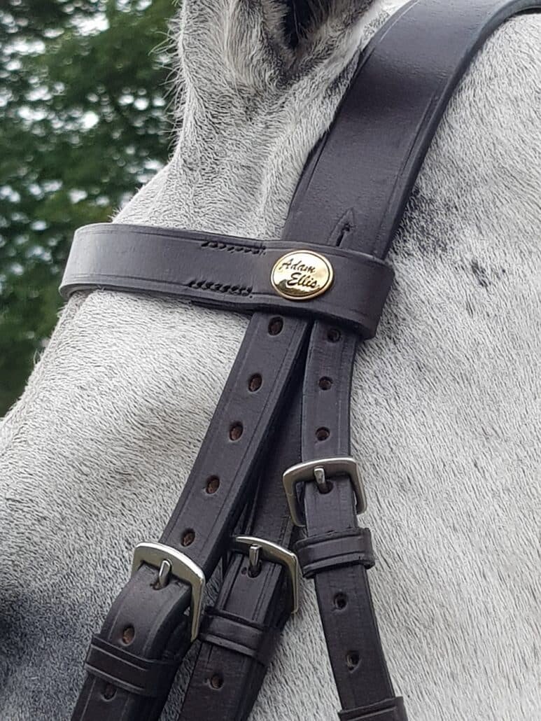 Компания UK Saddles Ltd, владелец Adam Ellis, была основана в 1999 году.