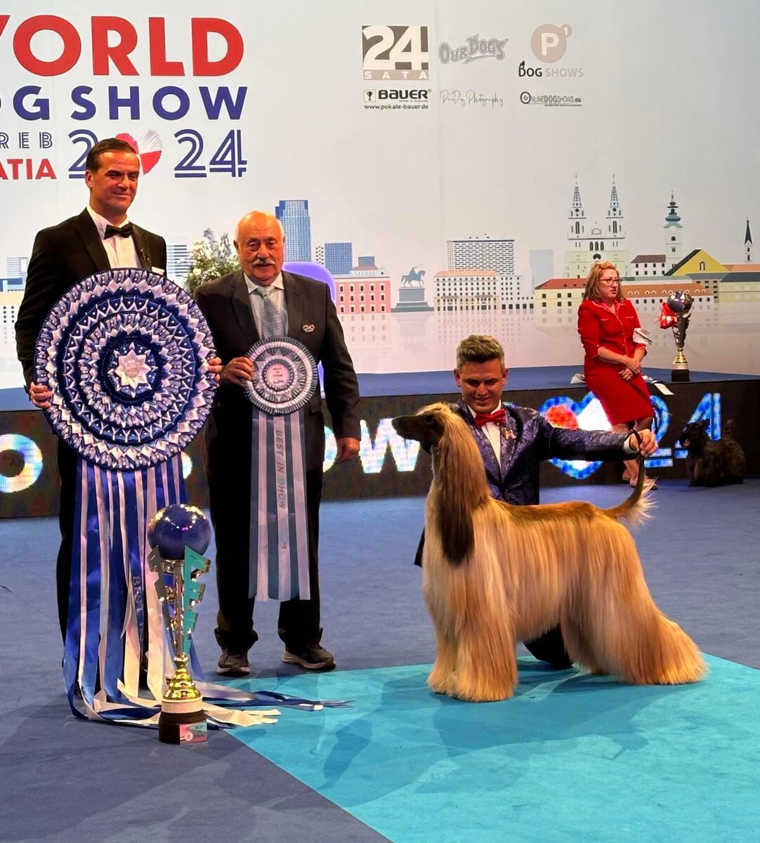 Zaida Bint Muti Von Haussman - лучшая собака всемирной выставки 2024