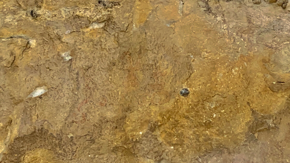 Наскальная роспись возле Таш-Аира заметна прямо по центру фото. Три фигуры красного цвета на желтом камне.