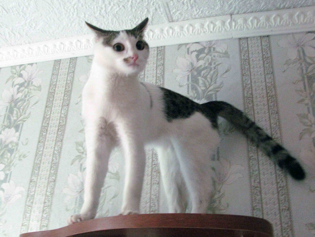 Авторское фото