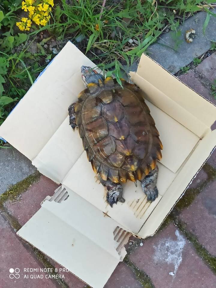     Фото: Лариса Морозова