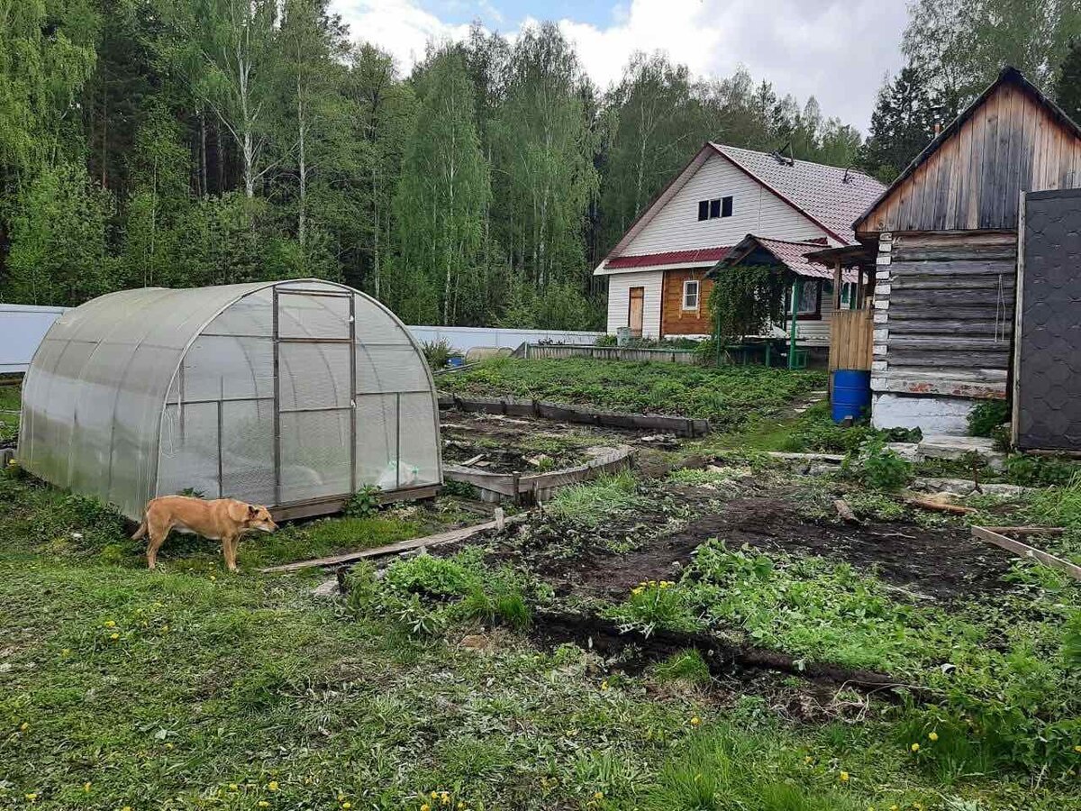 Мы просто купили маленький домик, на не большом, но шикарном озере с питьевой водой. Анализы этот факт подтвердили.