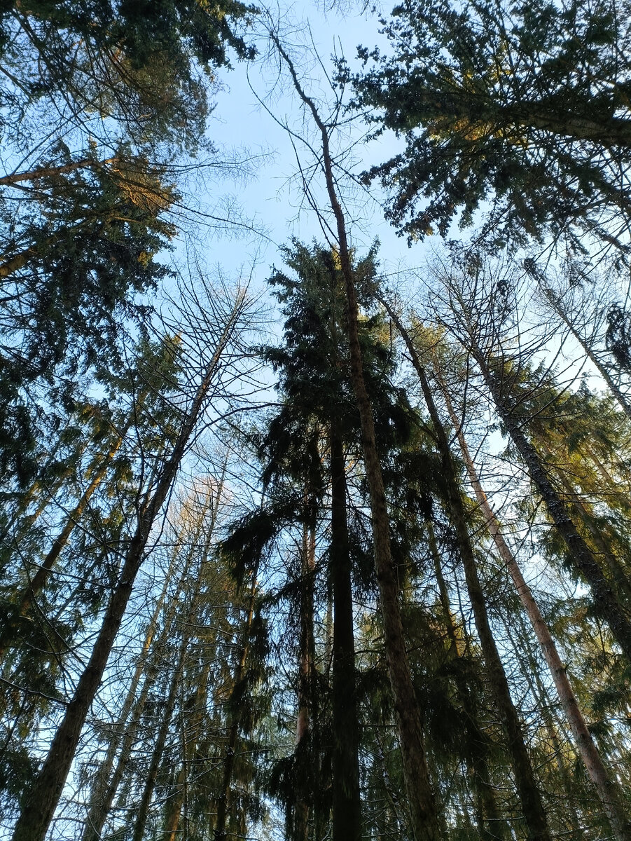 Сказка моей жизни!