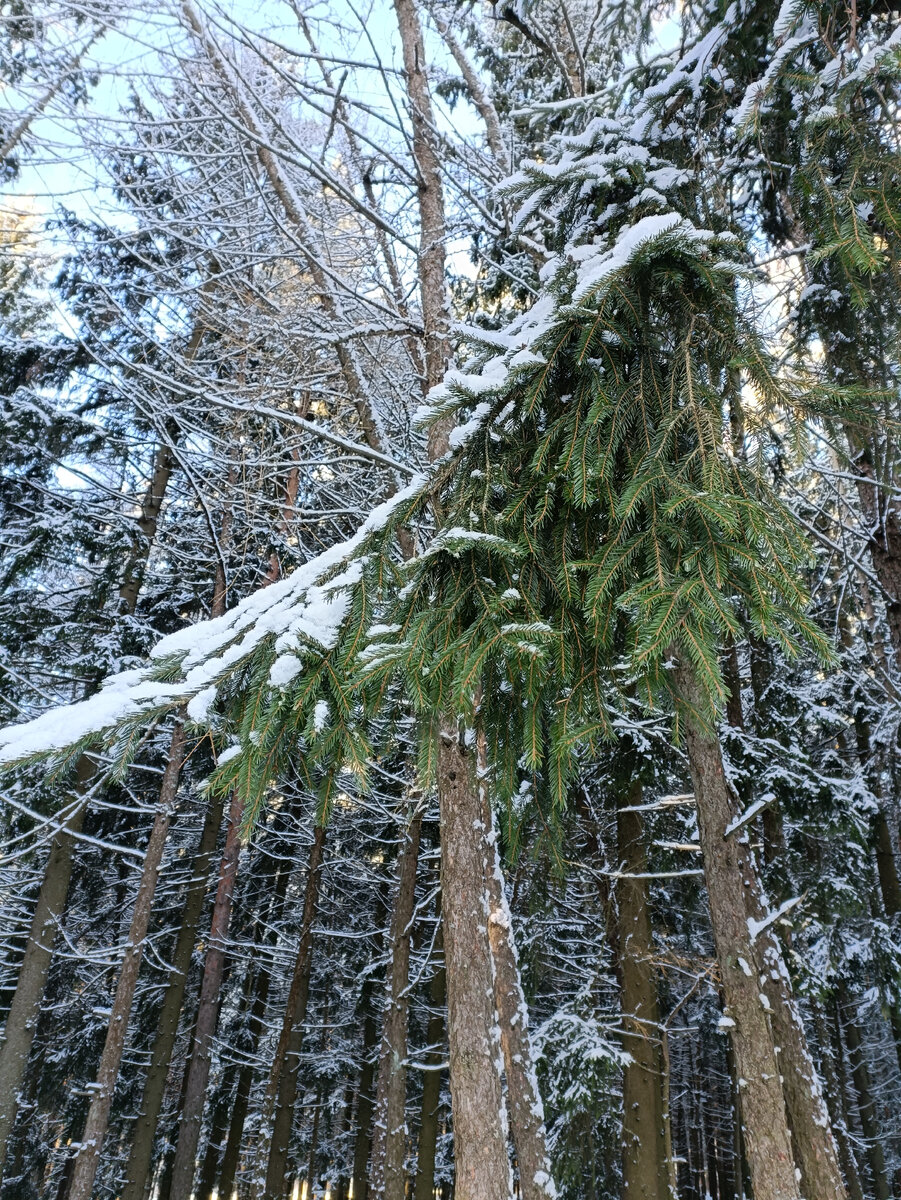 Красота - страшная сила!