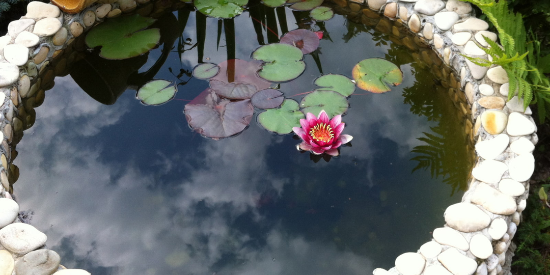 19 оригинальных идей для маленьких водоемов на даче 👍🏻