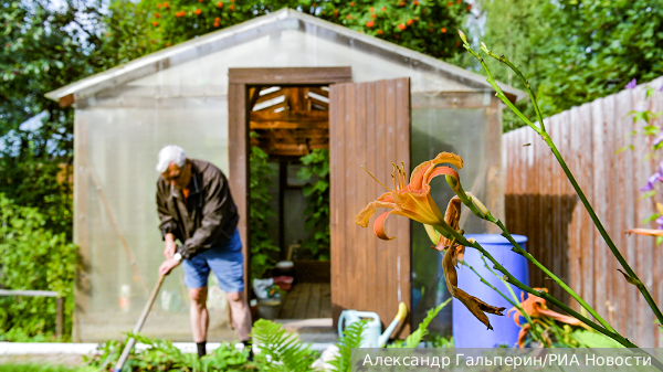     Фото: Александр Гальперин/РИА Новости   
 Текст: Татьяна Косолапова