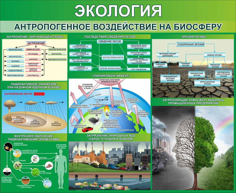 Из открытых источников