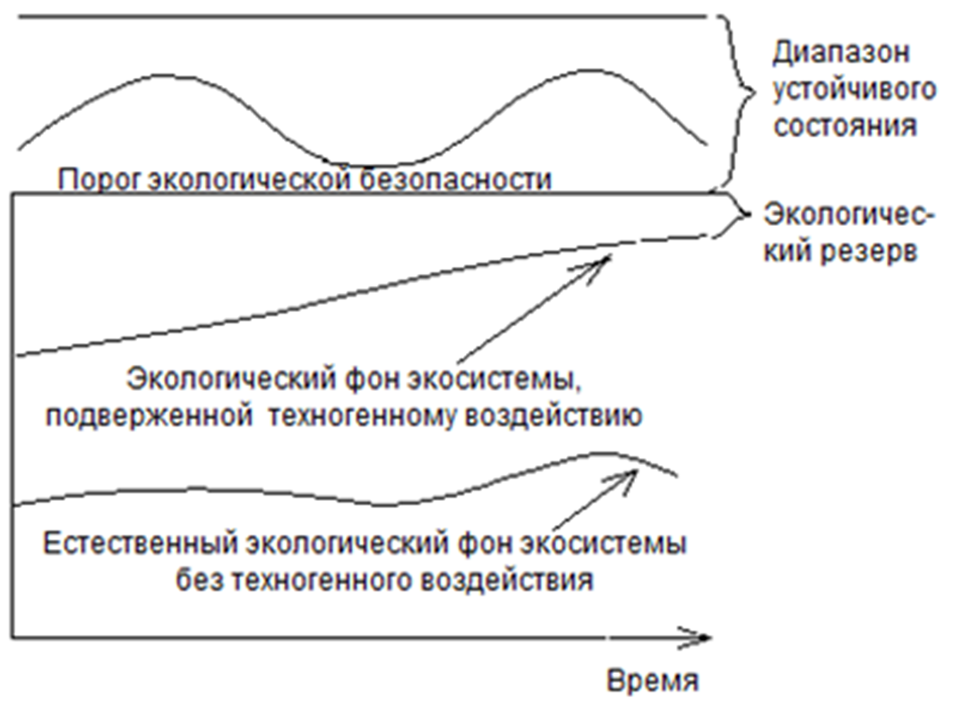 КОМПЛЕКСНАЯ СИСТЕМА ЭКОЛОГИЧЕСКОЙ БЕЗОПАСНОСТИ. Лекция 53. Глава IX.  Информационная технология моделирования и оценки ЭБС | Экологическая  безопасность | Дзен