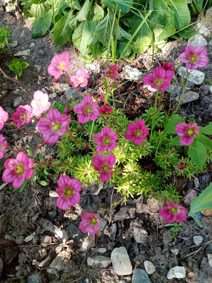 Фото из личного архива.