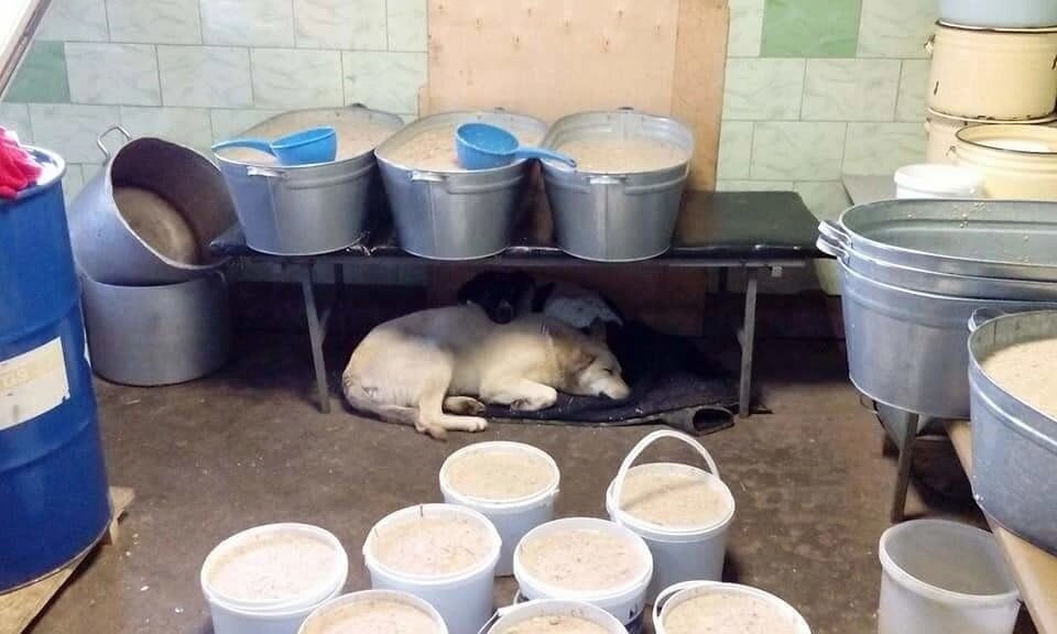 Раздаточная