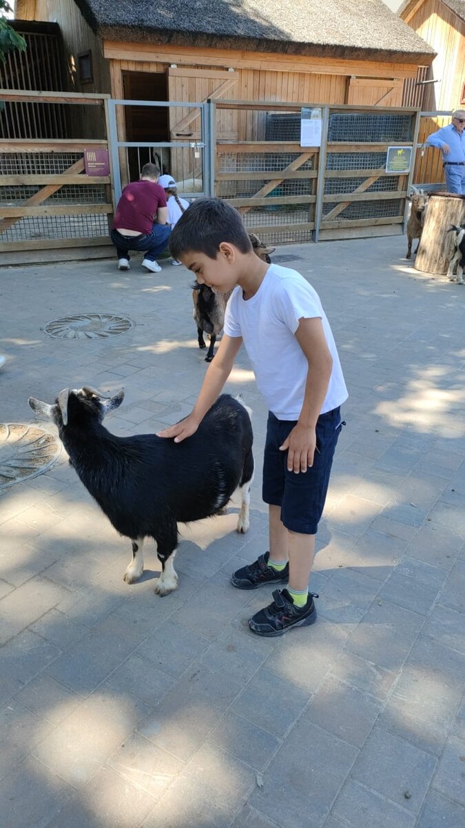 Сеня тоже ребенок-инвалид. Ему трудно учиться в школе. А вот в селе я думаю, Семен был бы образцовым животноводом