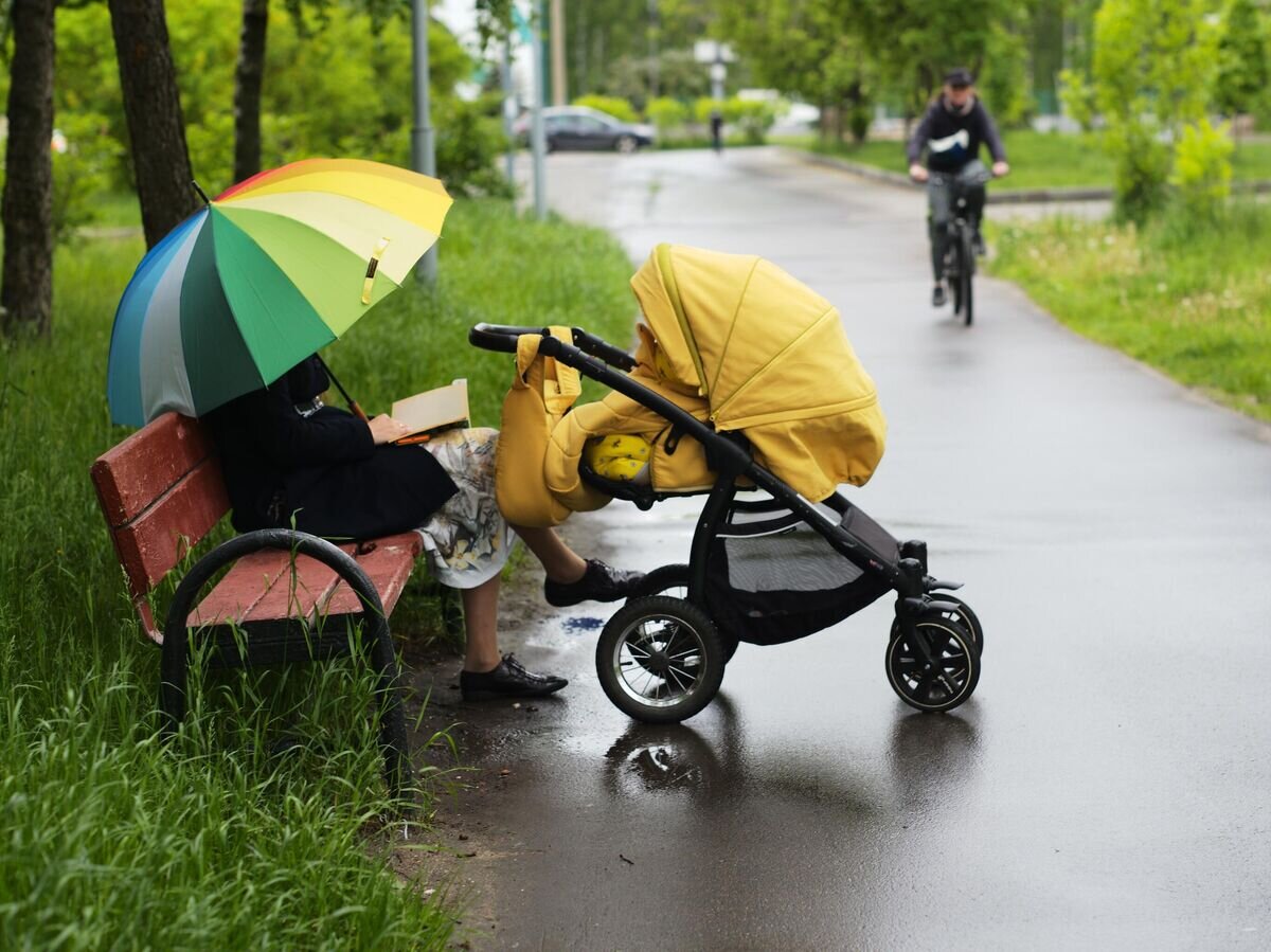    Женщина с детской коляской на Жулебинском бульваре в Москве© РИА Новости / Сергей Пятаков