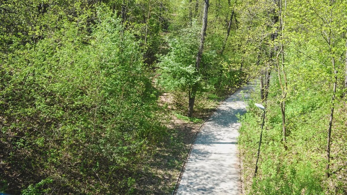     Источник: 1MI