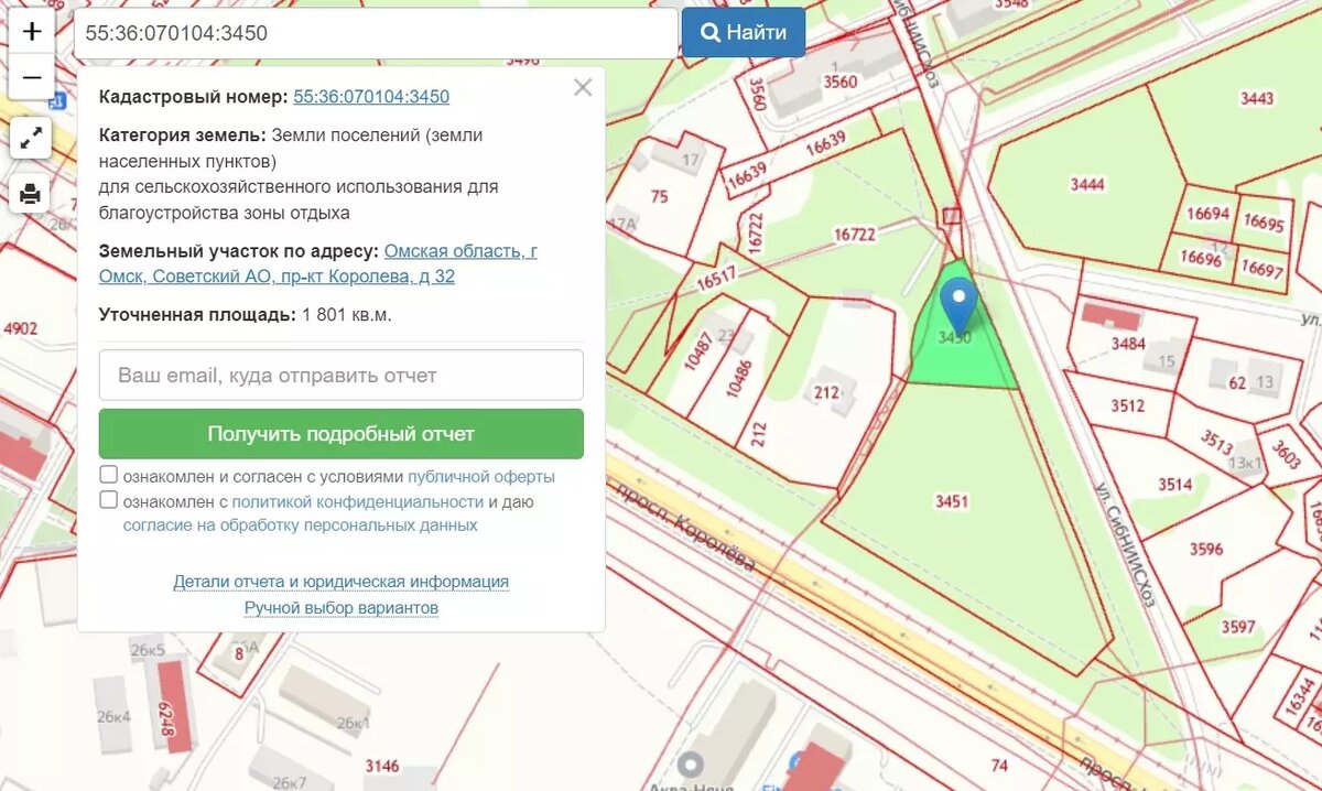     Источник: Публичная кадастровая карта Омской области