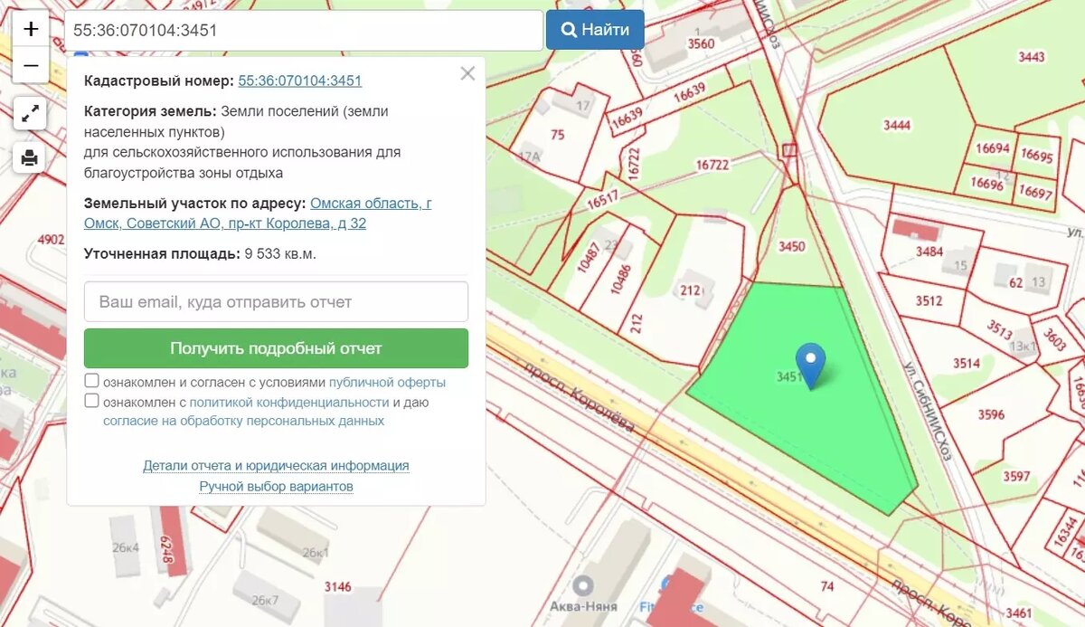     Источник: Публичная кадастровая карта Омской области