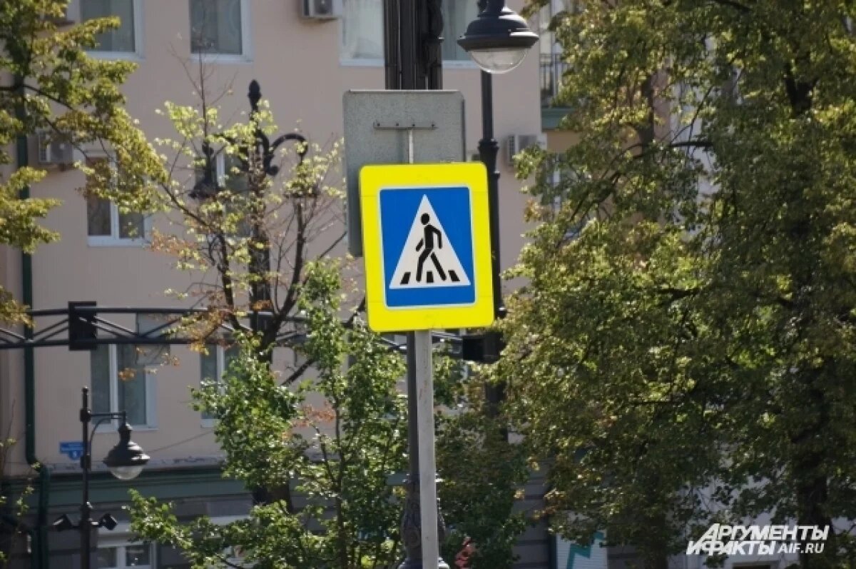    В Бийске женщина-водитель сбила ребенка на пешеходном переходе