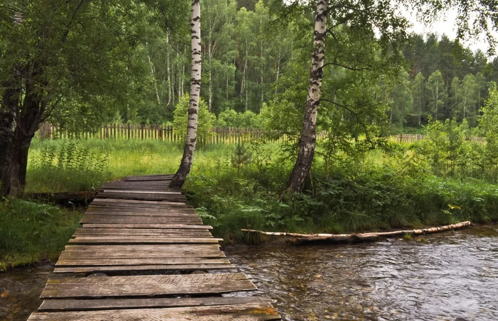 Яндекс картинки