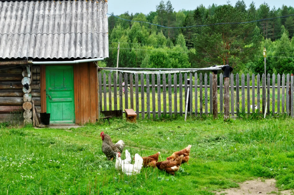 Яндекс картинки