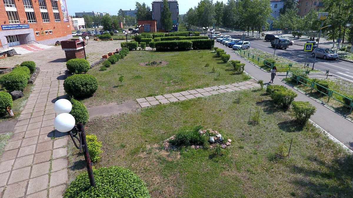 Сектор топиарного исскуства