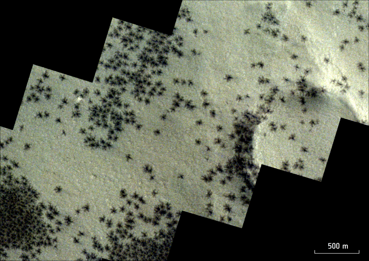 Темные "пауки" на поверхности Марса. Источник: ESA/TGO/CaSSIS 