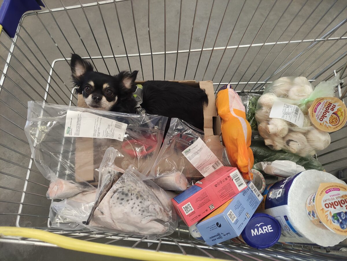 Едем на кассу