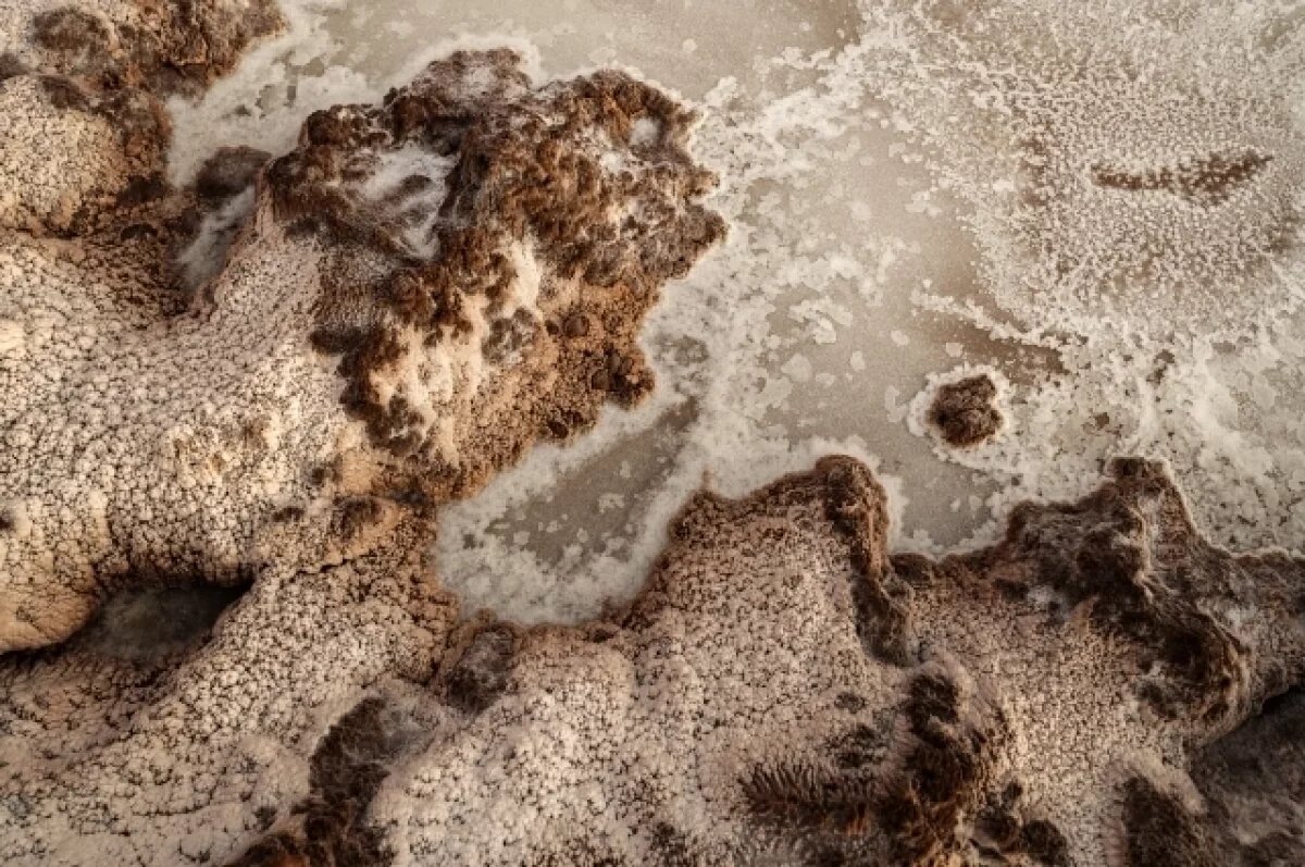    О загрязнении почвы отходами сообщили жители Котельничского района