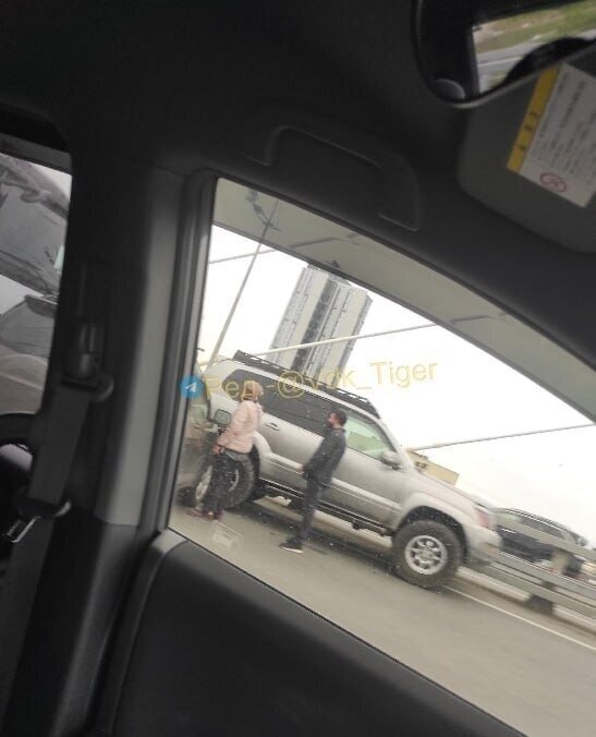     Источник: vdk_tiger_vladivostok