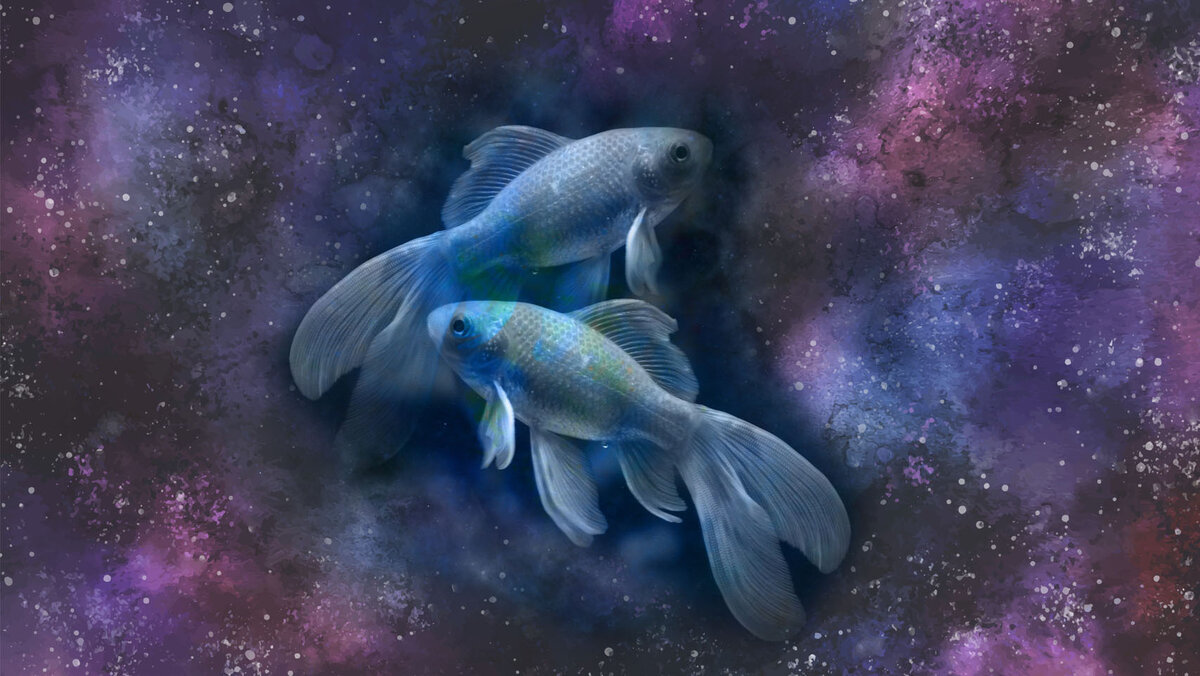 Рыбы Это последнее изображение в зодиакальном календаре. Он представлен парой рыб и постоянно находится под влиянием Нептуна и даже Юпитера.