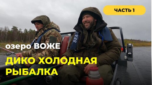 Осенняя холодная рыбалка на оз. Воже. Часть 1. Как не заморозить собаку в лодке :) #рыбалка