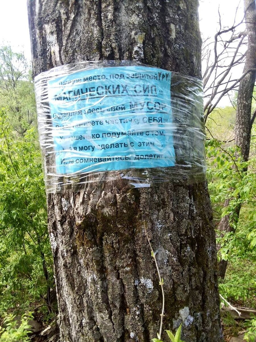     Источник: GazetaSevernoePrimorye