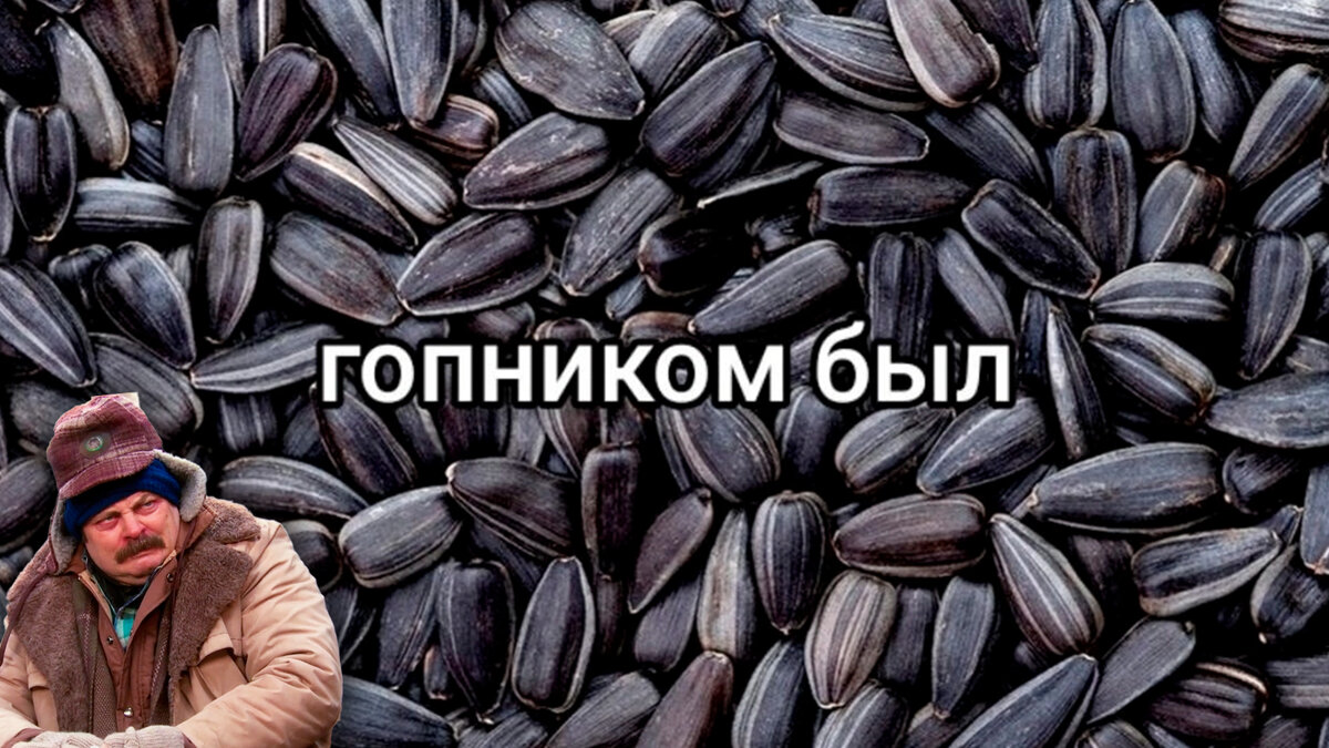 Фото с просторов интернета