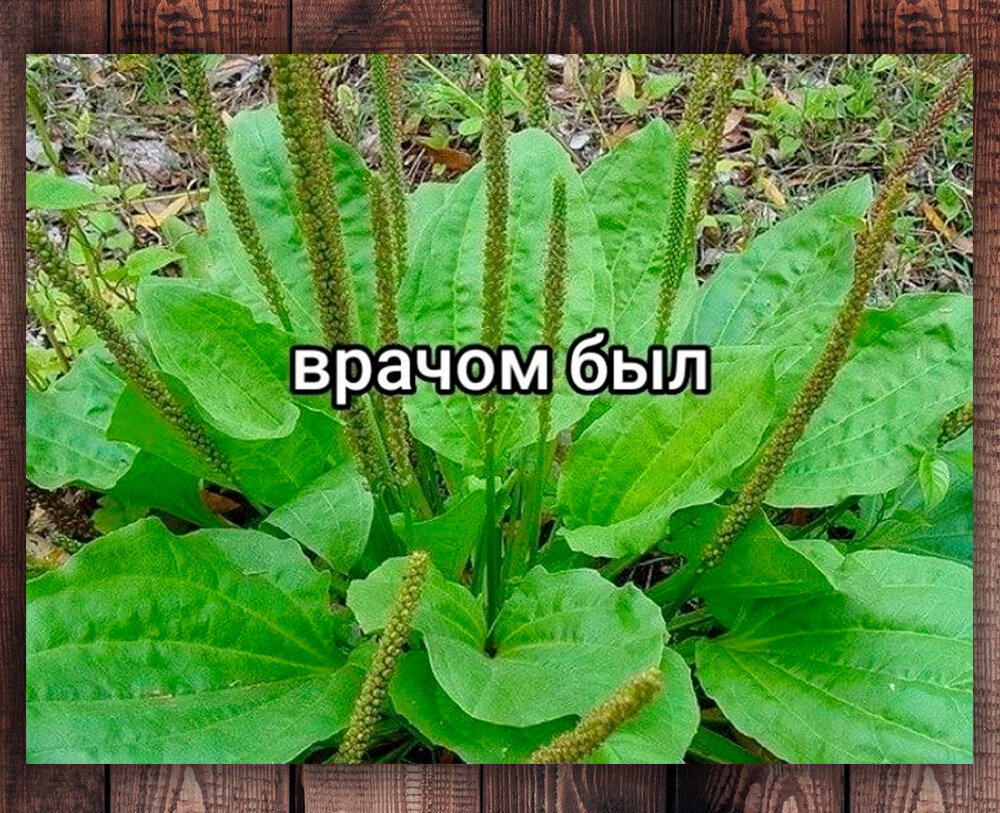 Фото с просторов интернета