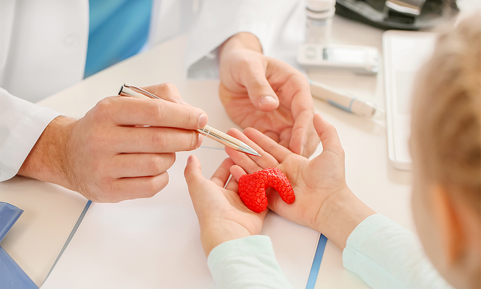 Фото с сайта adobestock.com