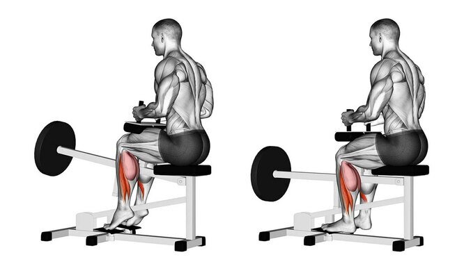 Тренажеры для икроножных мышц в тренажерном зале