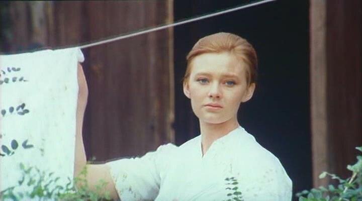 "Подсолнухи"