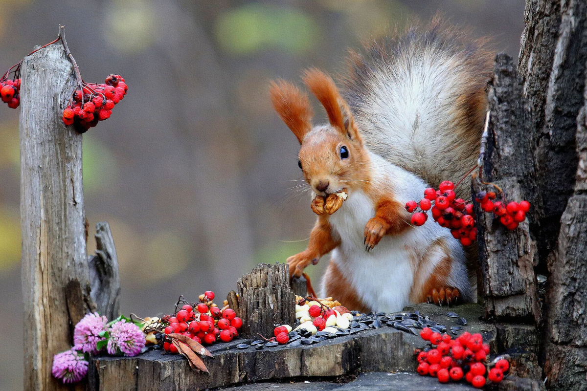 Осень близко...