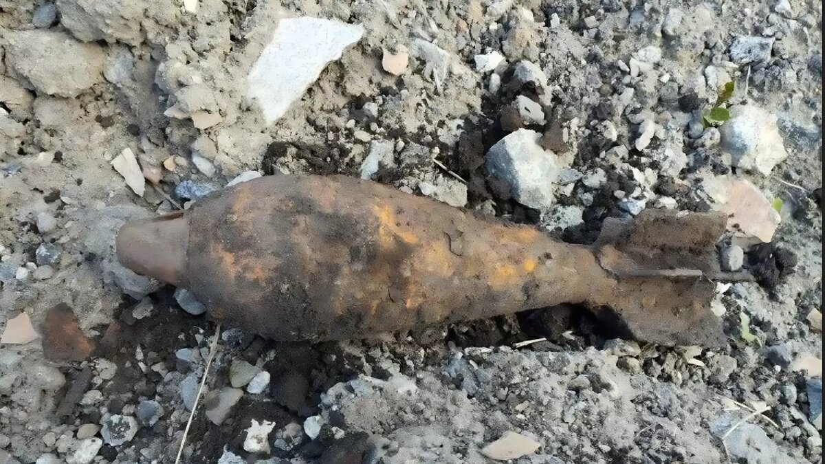     Источник: Росгвардия