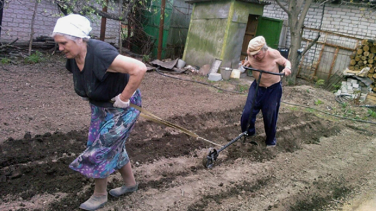 Раз взял дачу, чтобы на ней пахать, то паши. Шутка