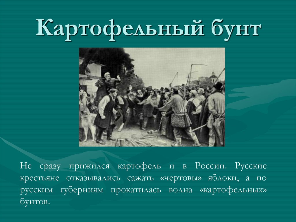 Русские крестьяне еще при Николае I против картошки вовсю бунтовали