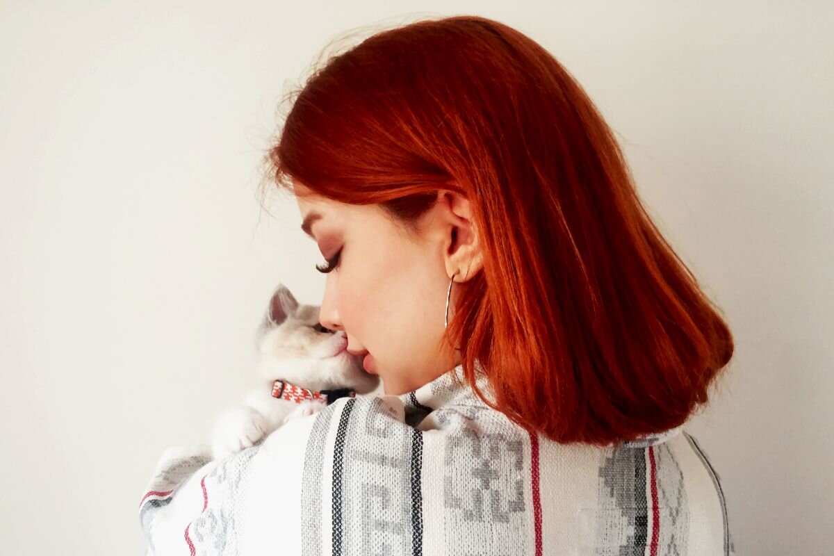 Можно ли целовать кошек в губы