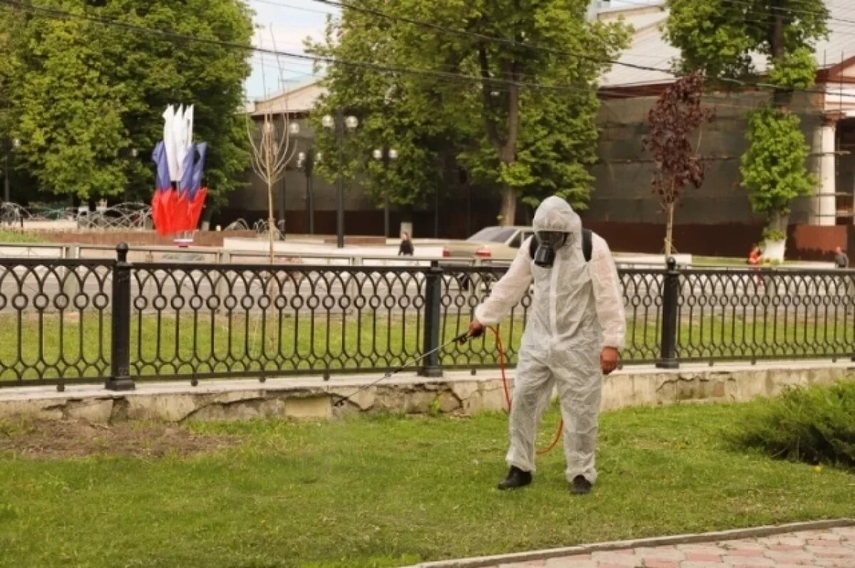    В Туле провели первый этап акарицидной обработки