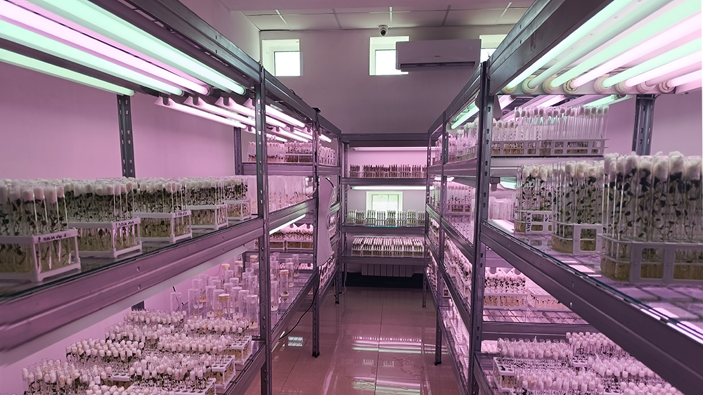     Фото: Елена Маслова