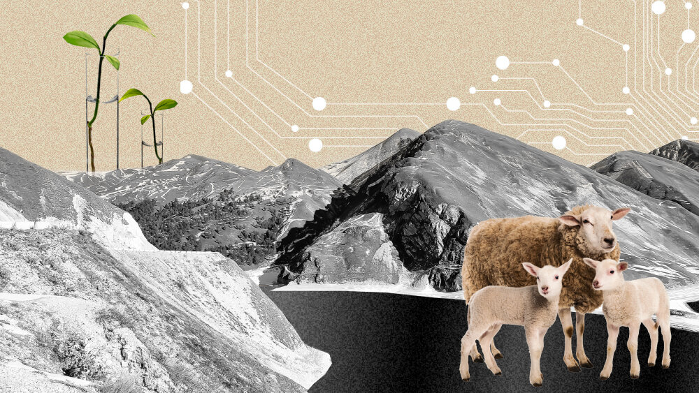    Фото: Shutterstock.com