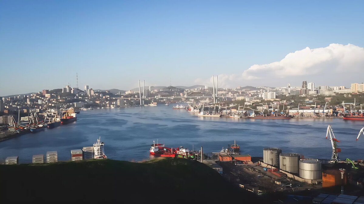     Источник: 1MI