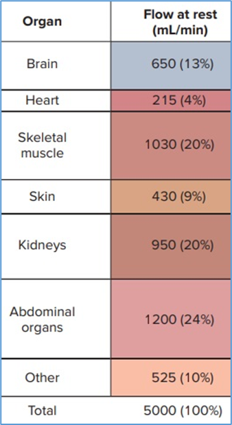 Figure 8.2. Distribution of systemic blood flow to the various   organs and tissues of the body at rest. Eric P. Widmaier Human Physiology.   The Mechanisms of Body Function, New NY: McGraw-Hill Education. 2019. https://lccn.loc.gov/2017048599