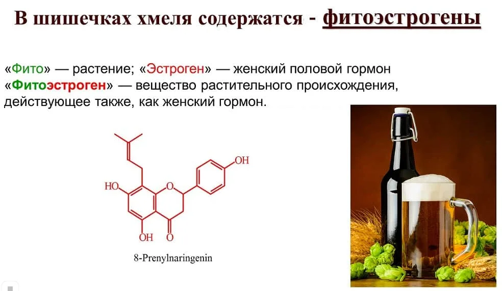 Фитоэстрогены как влияют